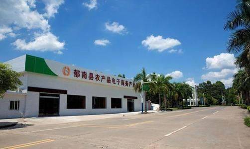 云浮农村电子商务蓬勃发展 助力脱贫攻坚与乡村振兴